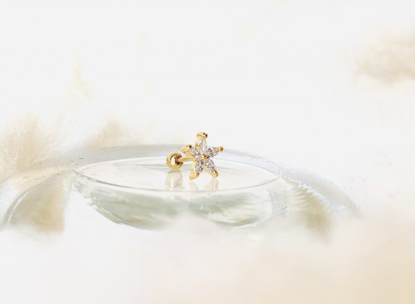 Piercing ETOILE DORE - PRINCESS TO LEND