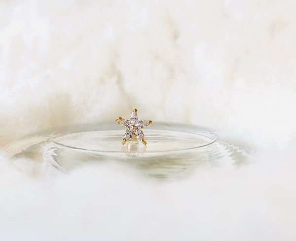 Piercing ETOILE DORE - PRINCESS TO LEND – Image 2