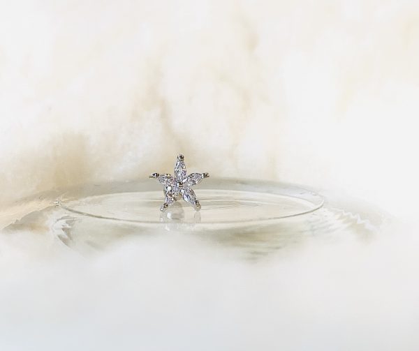 Piercing ETOILE ARGENT - PRINCESS TO LEND – Image 3