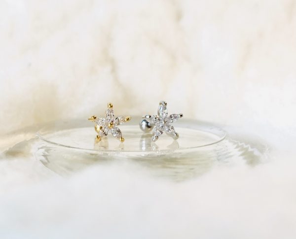 Piercing ETOILE DORE - PRINCESS TO LEND – Image 3