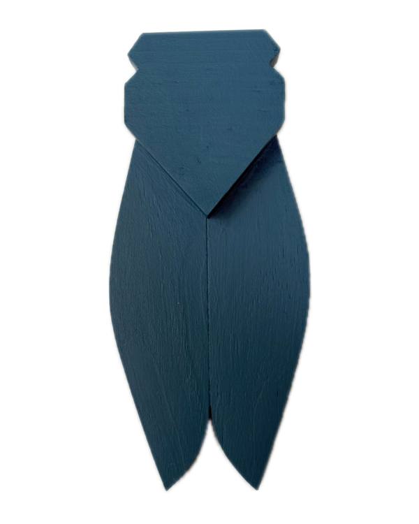 Cigale Moyen Modèle