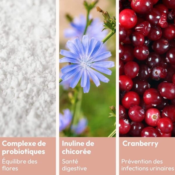 Essentiel flore intime et intestinale - MIYE – Image 2