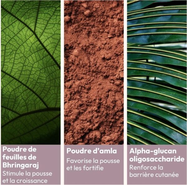 Poudre cheveux densifiante - MIYE – Image 2